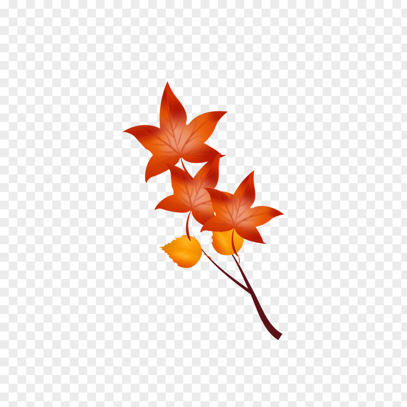 Red And Yellow Autumn Leaves Maple Leaf PNG
