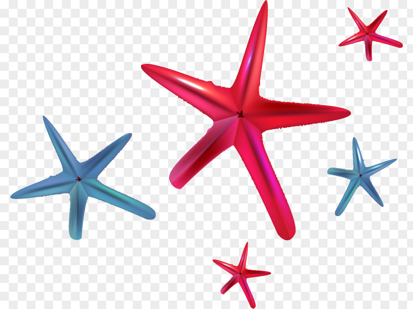 Starfish Vector Diagram Euclidean Clip Art PNG