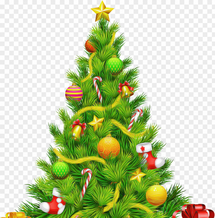 Christmas Tree PNG