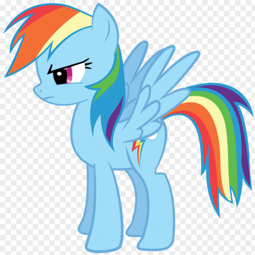 Obscured Rainbow Dash Pinkie Pie Rarity Twilight Sparkle PNG