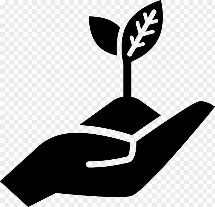 Open Hands Sprouting Clip Art PNG