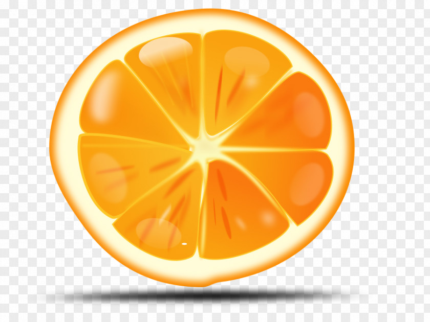 Orange Cliparts Juice Clip Art PNG