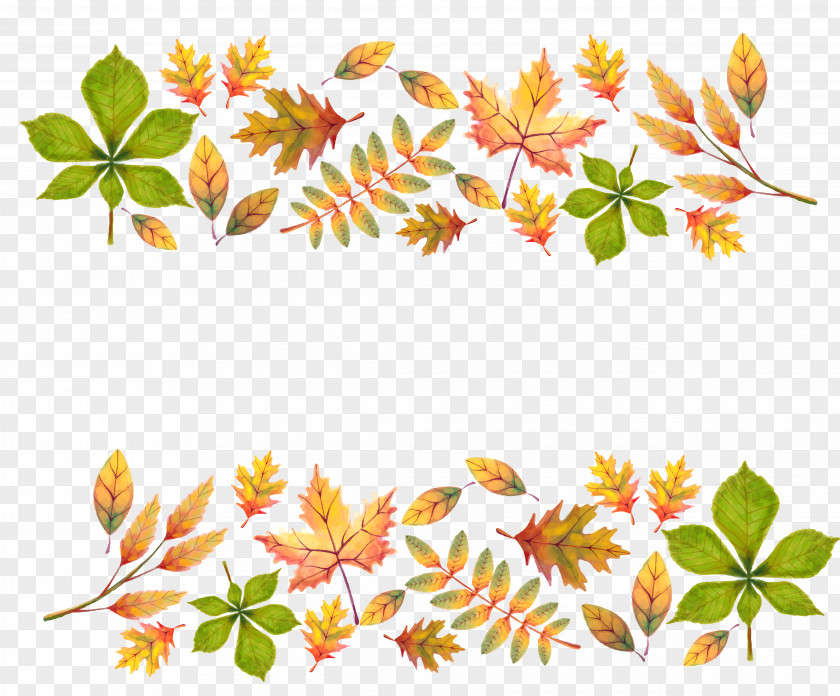 Painted Yellow Autumn Leaves Decoration PNG
