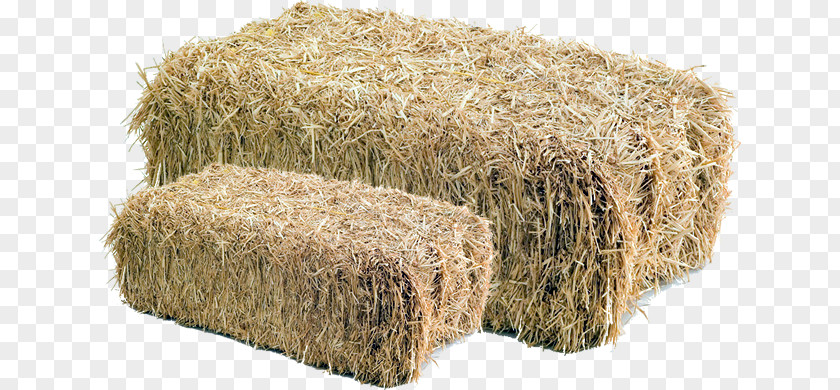 Palha Livestock Feeds And Feeding Hay Straw Paperback Commodity PNG