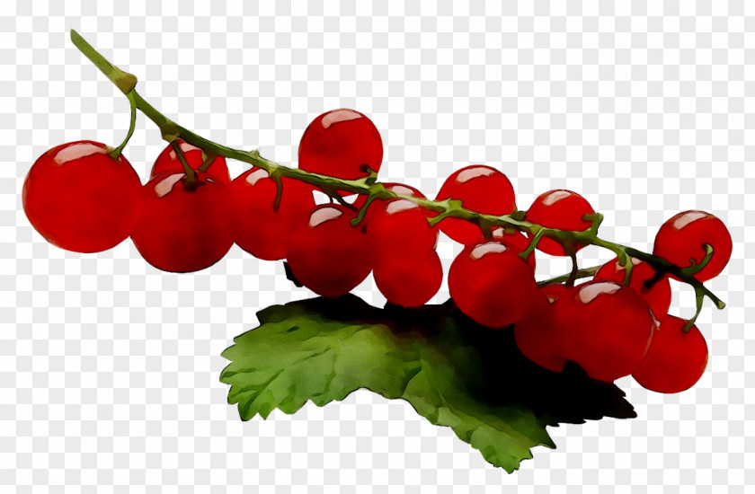 Varenye Redcurrant Fruit Blackcurrant Jam PNG