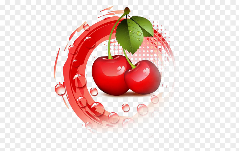 Cherry Fruit Clip Art PNG