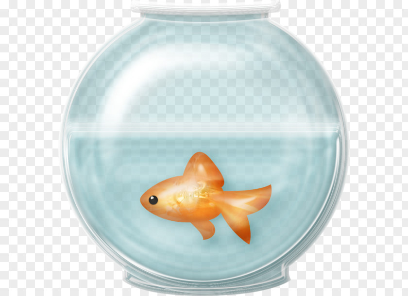 Fish Goldfish Aquarium Clip Art PNG