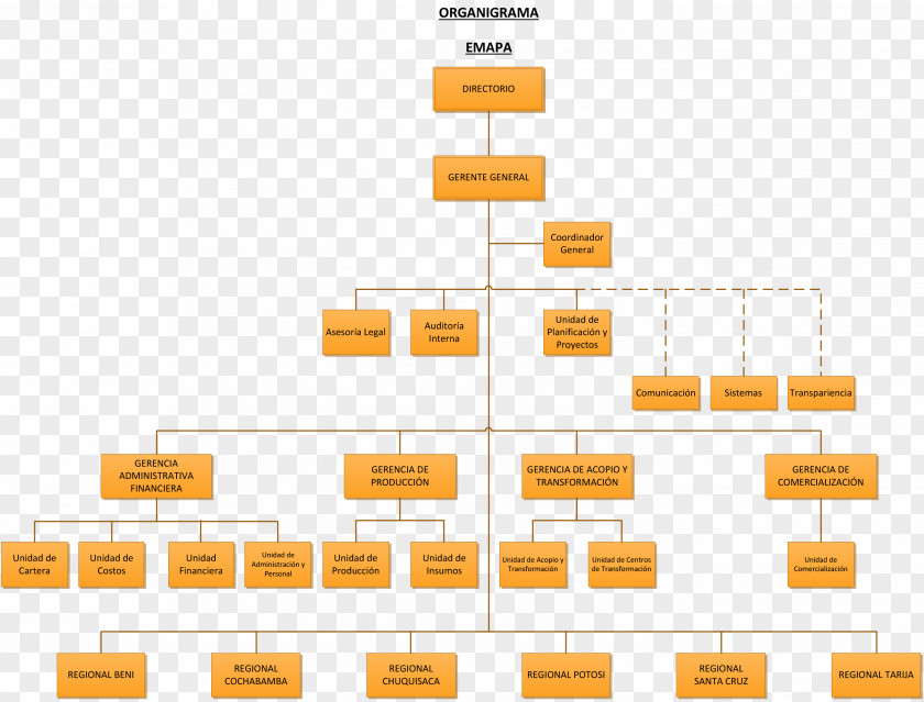 Grams Organizational Chart Diagram Structure Empresa PNG