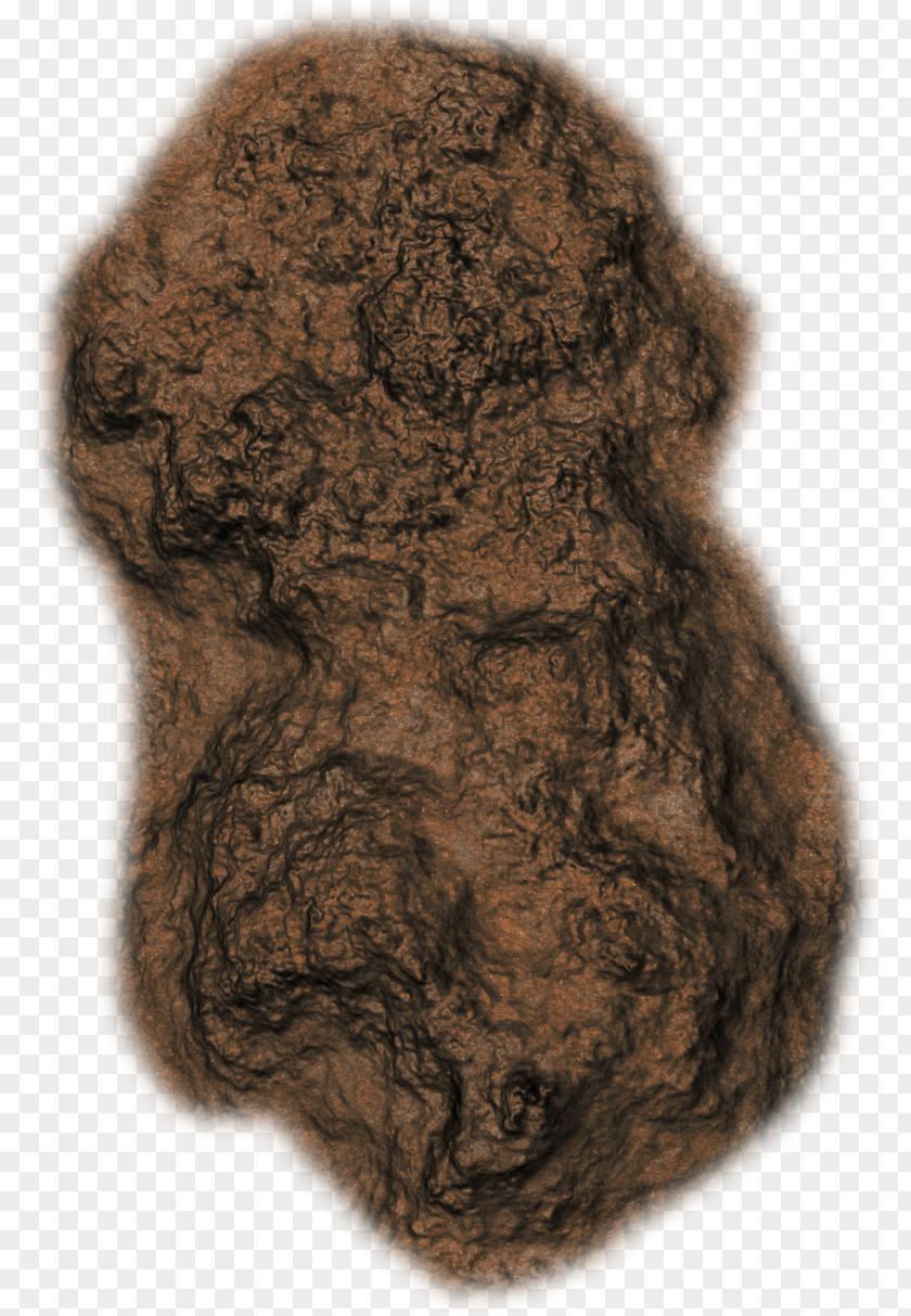 Rock Ground Fur PNG