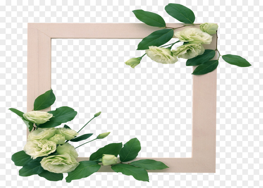 Tw Floral Design Flower PhotoScape PNG