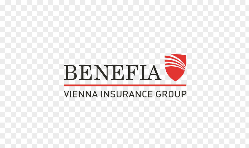 Vehicle Insurance Liability Vienna Group Assurer PNG