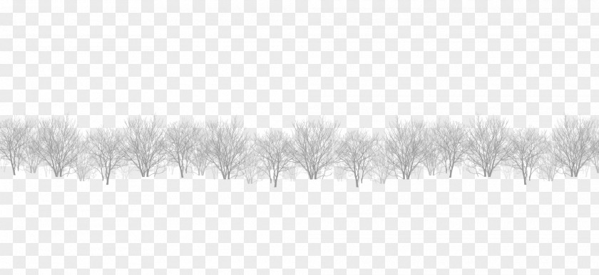 A Row Of White Branches Black And Pattern PNG