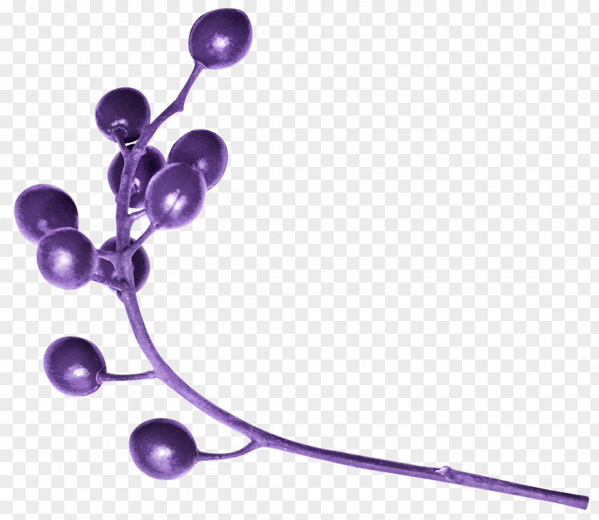 Berries Lilac Lavender Violet Purple PNG