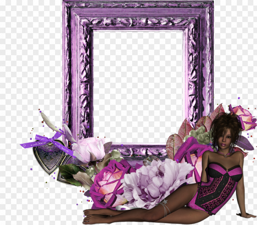 Cadre Picture Frames PNG