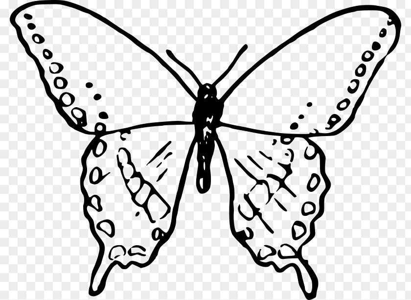 Dream Butterfly Drawing Painting Clip Art PNG