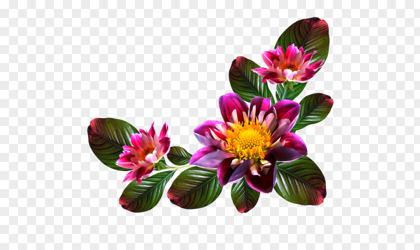 Flower Image Computer File Clip Art PNG