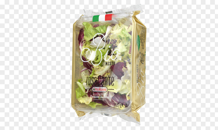 Salad Sugarloaf Chicory Endive Radicchio Rosso Di Treviso Lunch PNG