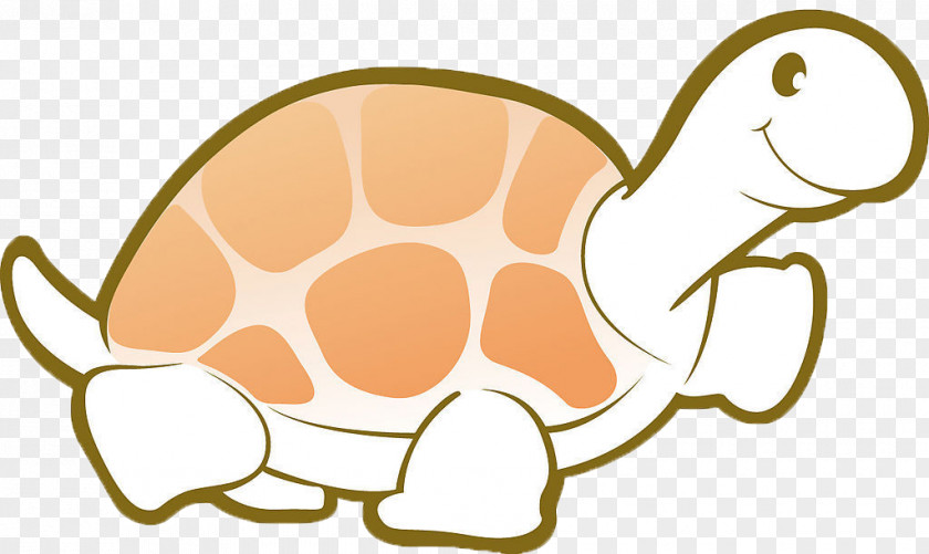 Baby Turtle Vector Graphics Image Tortoise Animal PNG