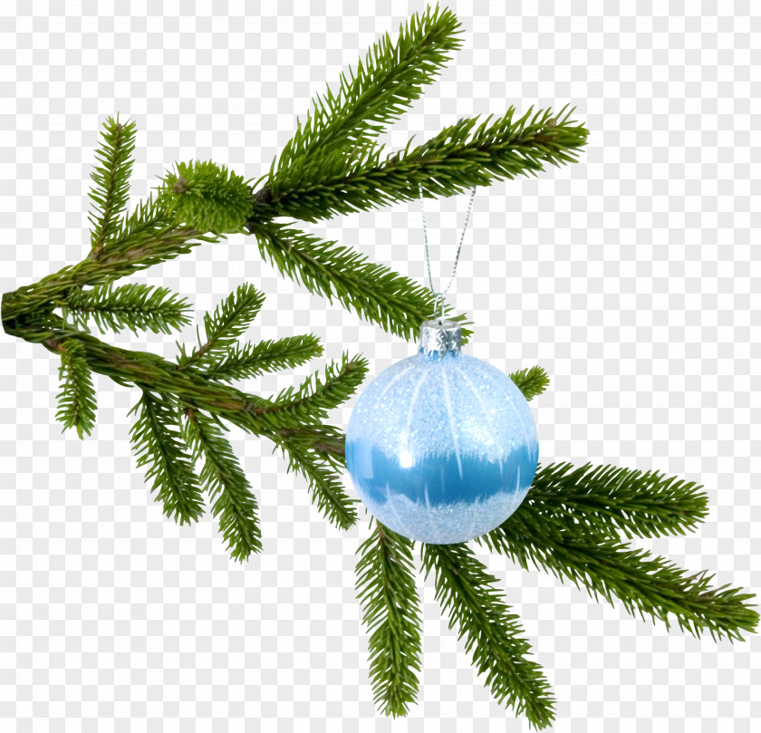 Christmas New Year Tree Spruce Branch Clip Art PNG