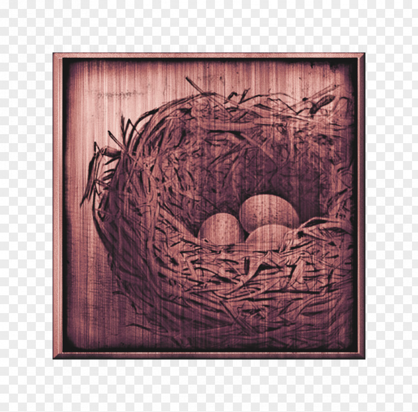 Creative Nest On Shuya Easter Bird Picture Frames PNG