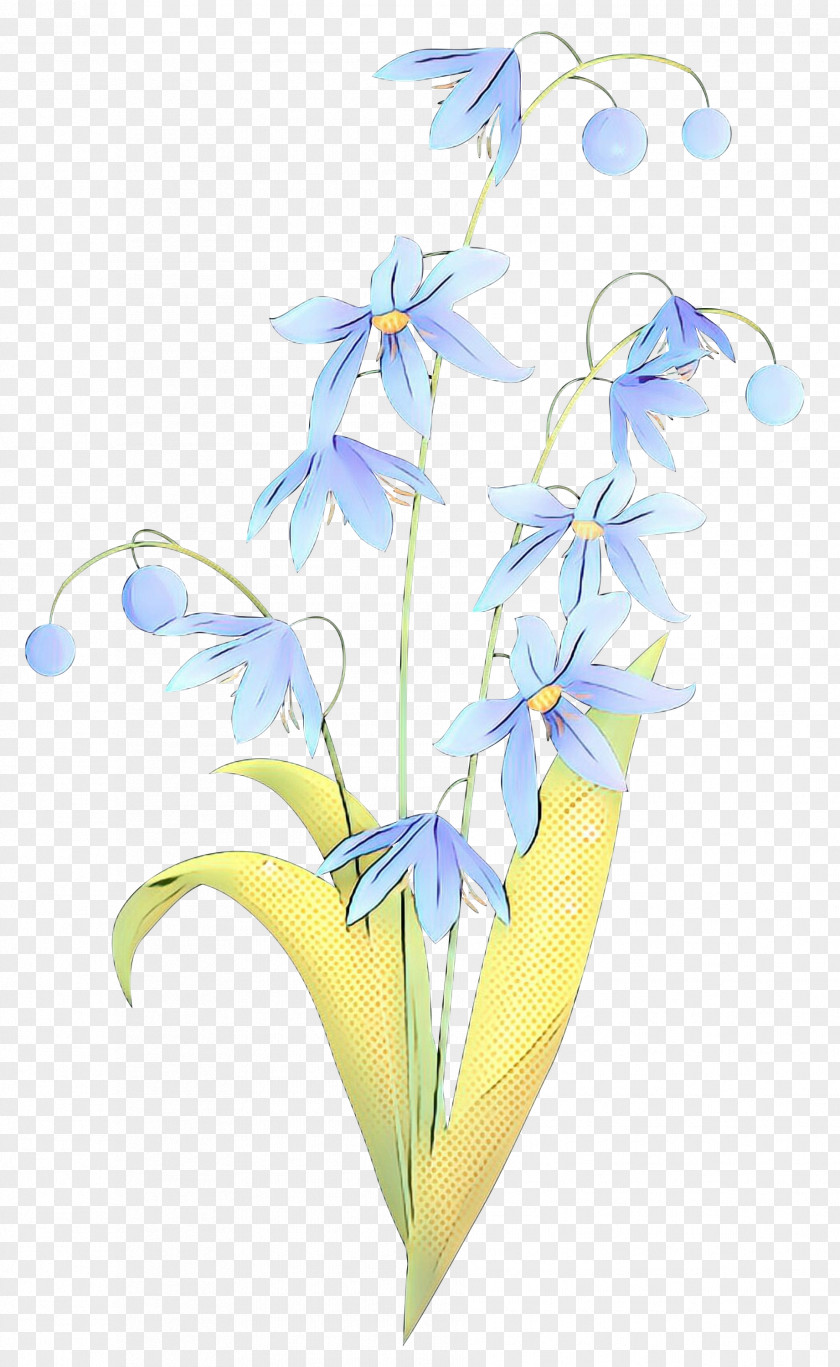 Dendrobium Wildflower Flower Plant Flowering Petal Iris PNG