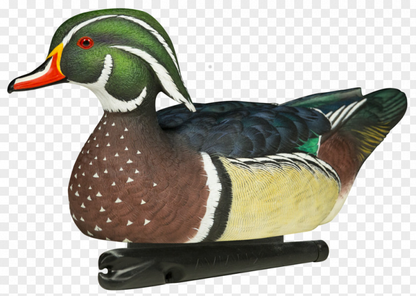 Duck Decoy Mallard Goose PNG