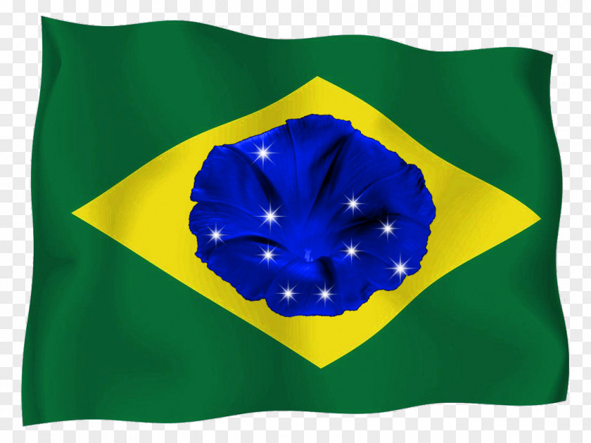 Flag Of Brazil Estilización 03120 PNG