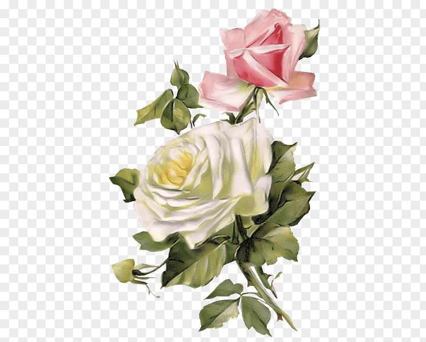 Rose Vintage Clothing Flower PNG