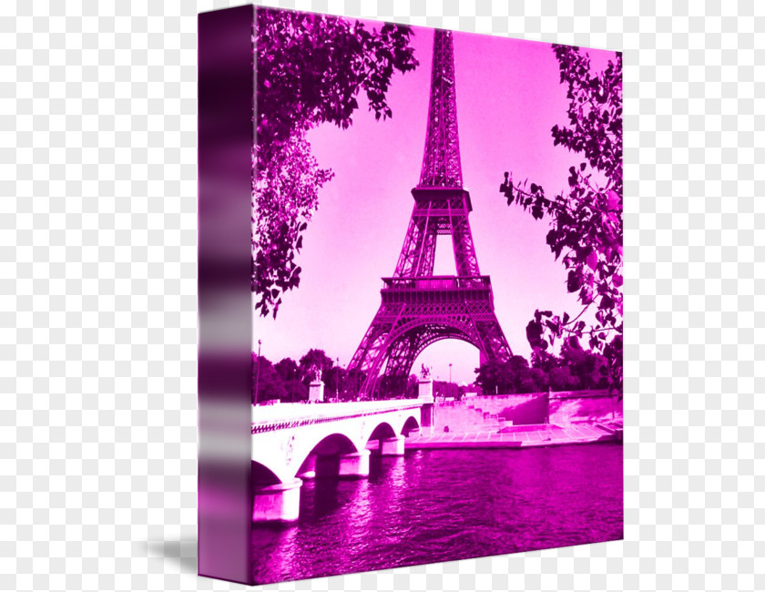 Eiffel Tower Pink Seine Photography PNG