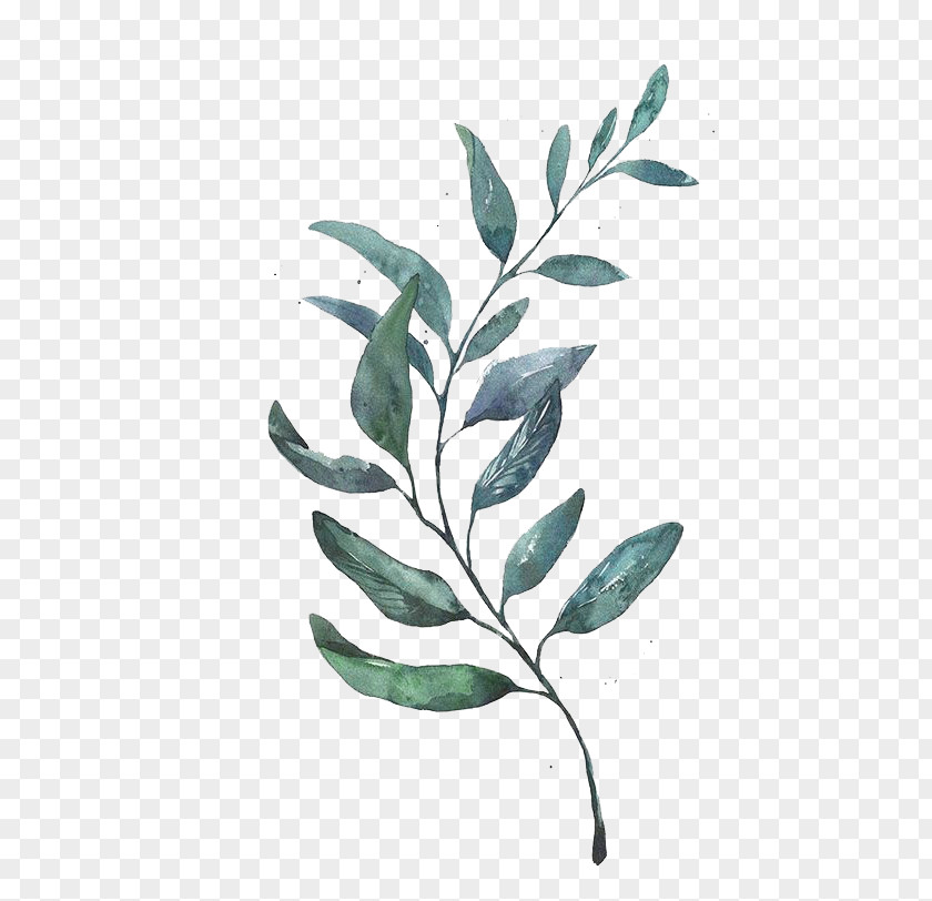 Green Leaves PNG leaves clipart PNG