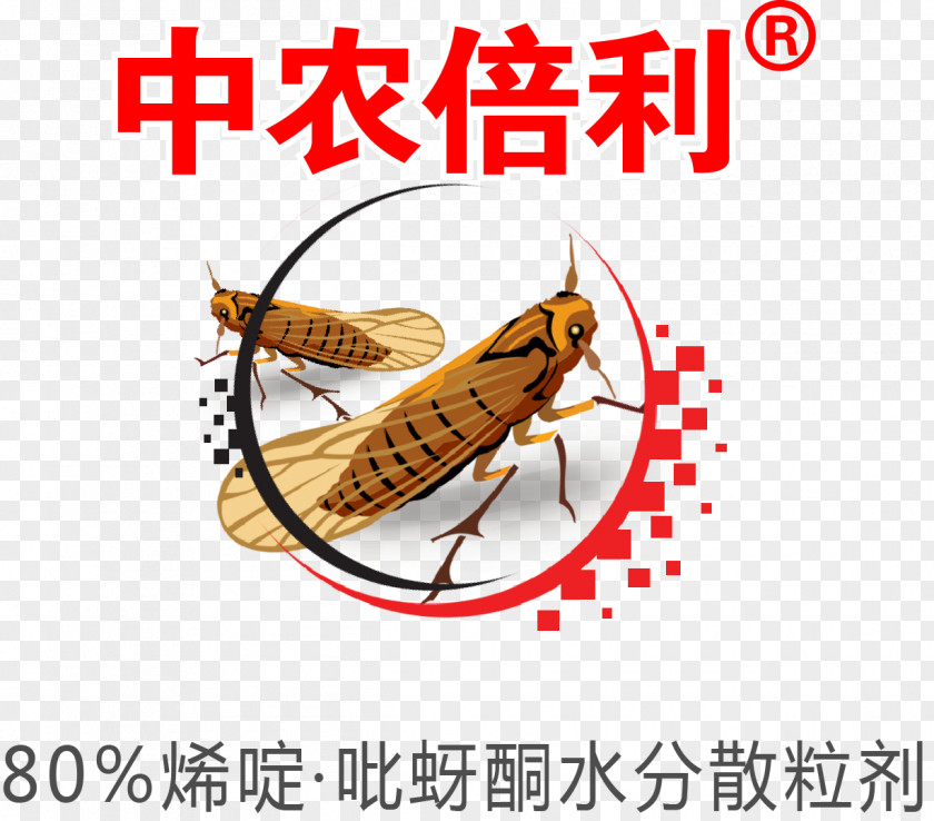 Insecticide Insect Clip Art Line Pest PNG