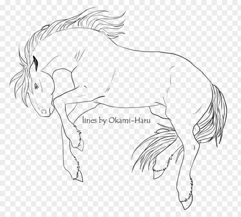 Mustang Mane Halter Drawing Sketch PNG