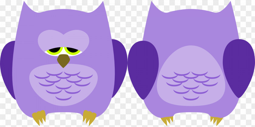 Owl Little Bird Sleep Clip Art PNG
