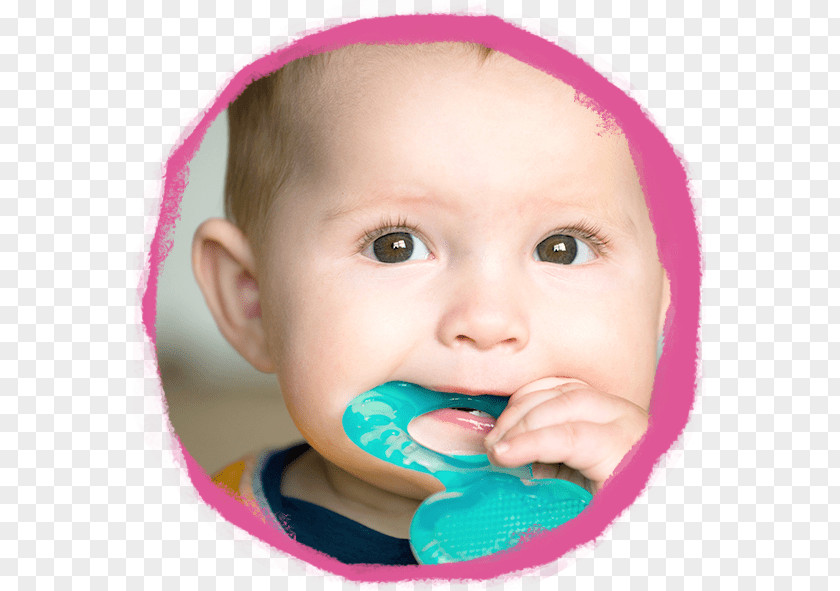 Child Teething Baby Food Infant Gums PNG