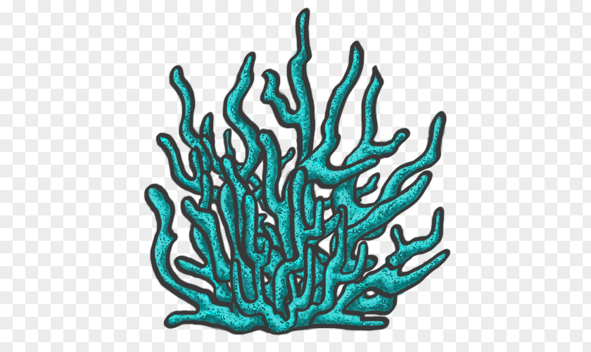 Coral Reefs Invertebrate Teal Aquarium Clip Art PNG