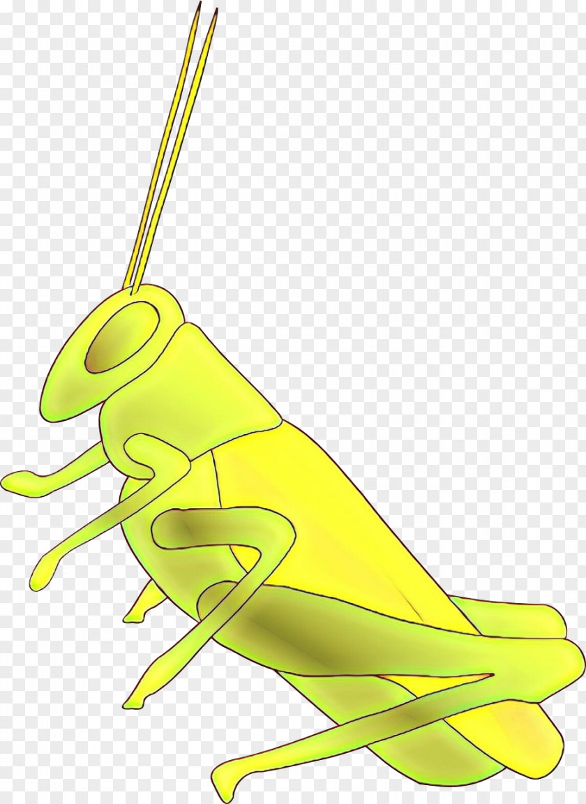 Grasshopper Clip Art Illustration Insect Locust PNG