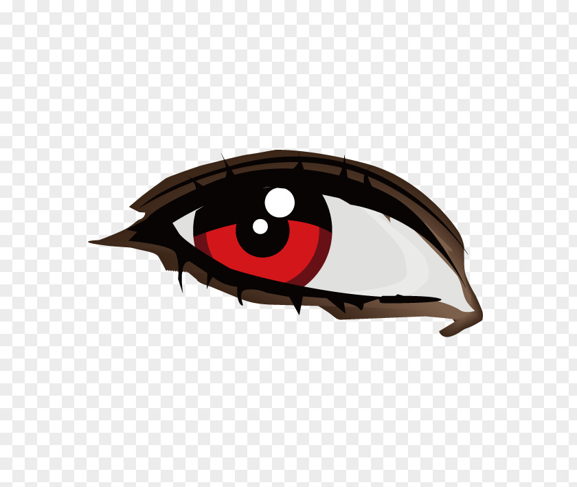 Red Pupil,Fly Disdain,sharp Human Eye Euclidean Vector Illustration PNG