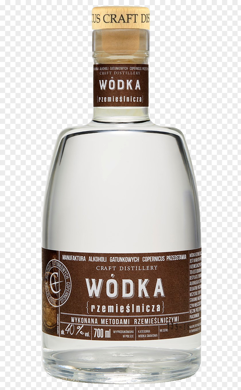 Vodka Liqueur Absinthe Distilled Beverage Moonshine PNG