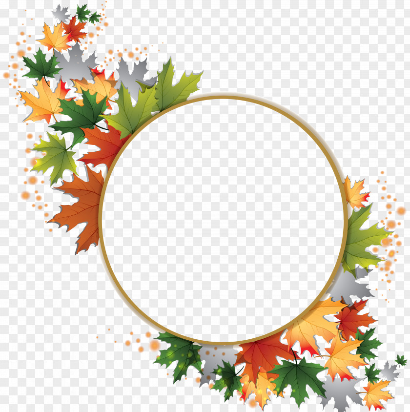 Gold Leaf Maple Clip Art PNG