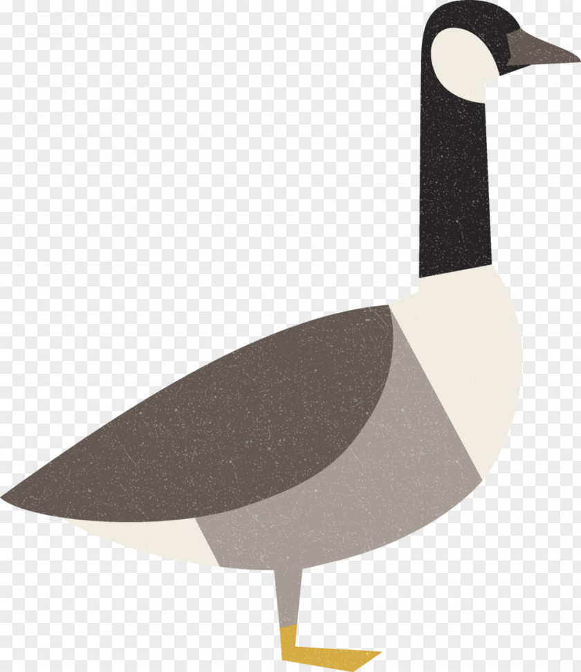 Goose Bird Duck Cygnini Anatidae PNG