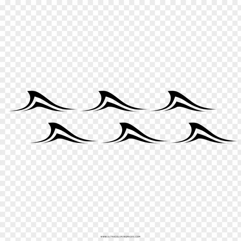 Olas Marine Mammal White Line Art Fish .cf PNG
