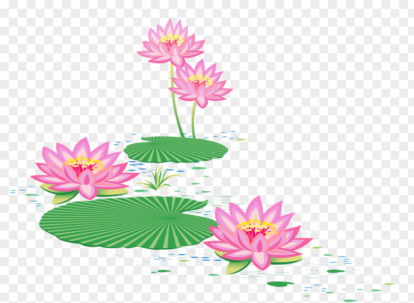 Painting Floral Design บัว Sacred Lotus Vector Graphics PNG