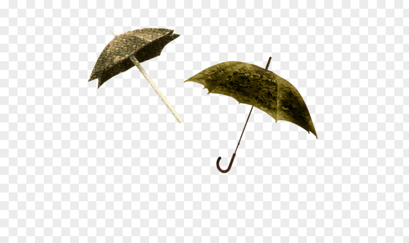 Umbrella Raincoat Clip Art PNG