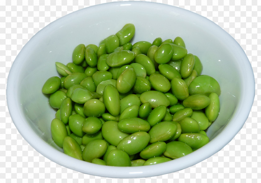 Beanuts Bubble Soybean Green Bean Common PNG