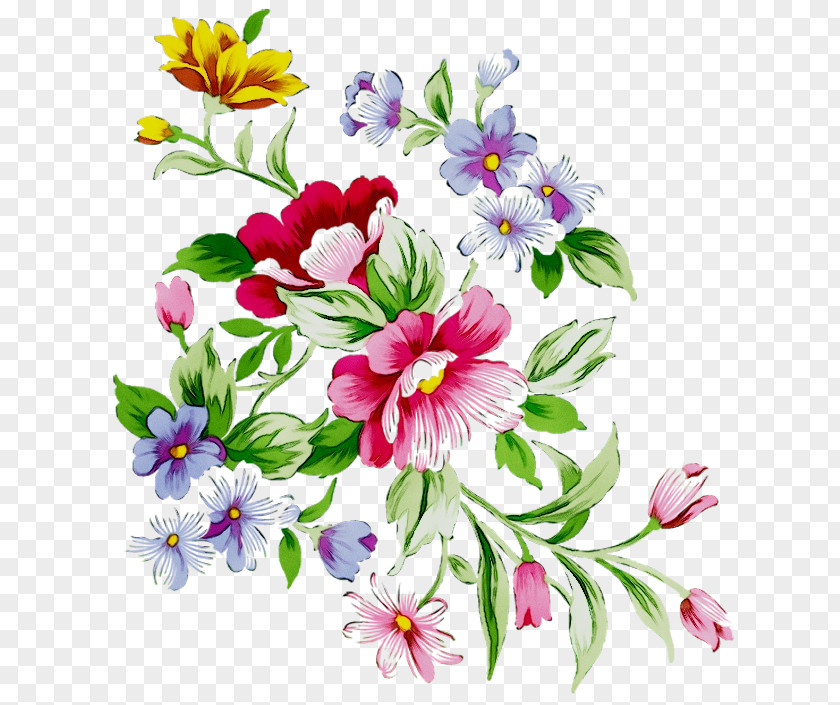 Clip Art Floral Design Illustration Flower PNG
