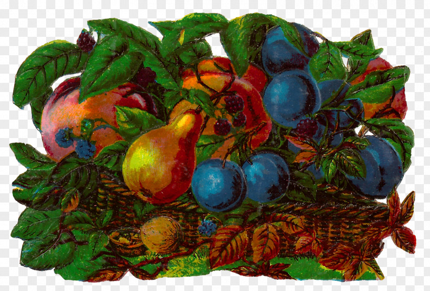 Fruits Basket Fruit Food Gift Baskets Clip Art PNG