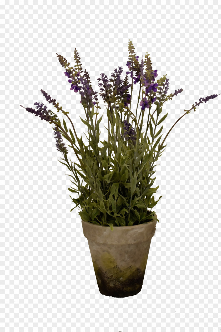 Lavender PNG