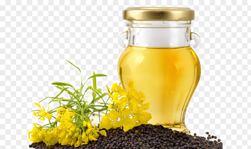 Oil Canola Colza Sunflower Olive PNG