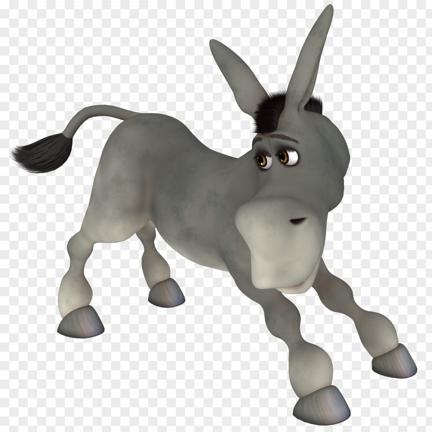 Donkey Hinny Horse PNG