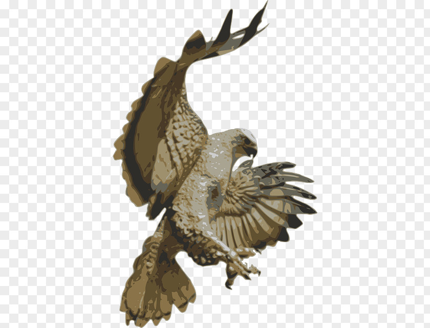 Eagle Drawing Hawk Mountain Clip Art Bird Silhouette PNG